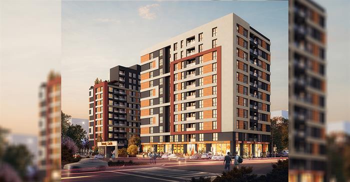 Project image 11