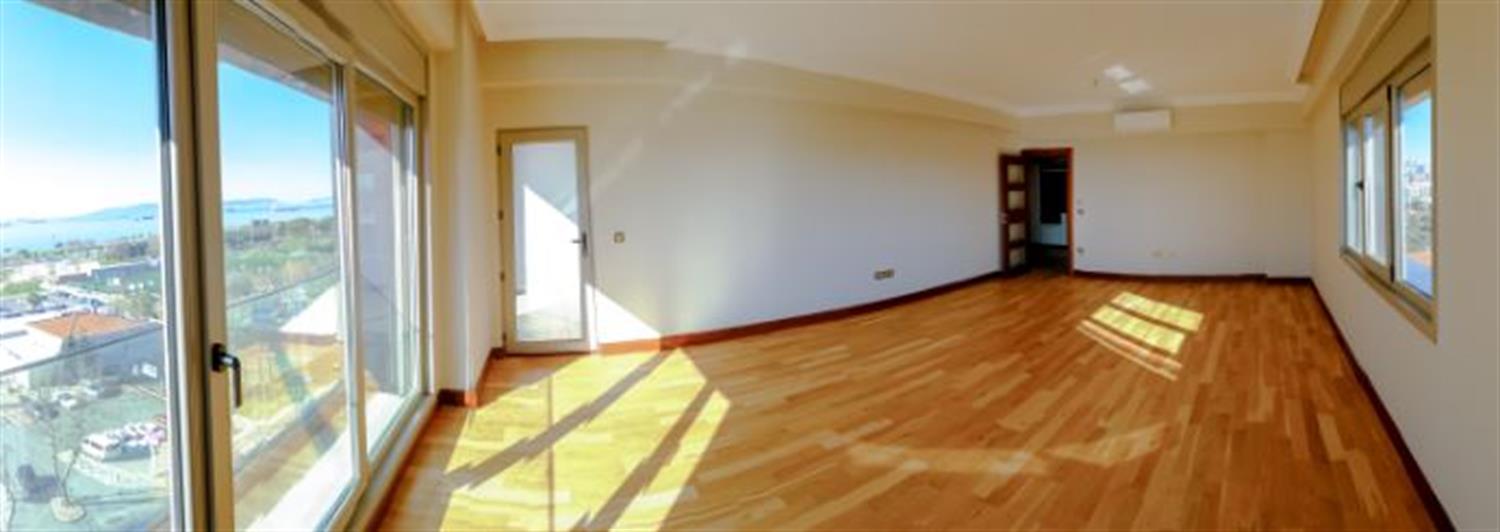 Project image 16