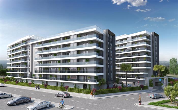 Project image 11