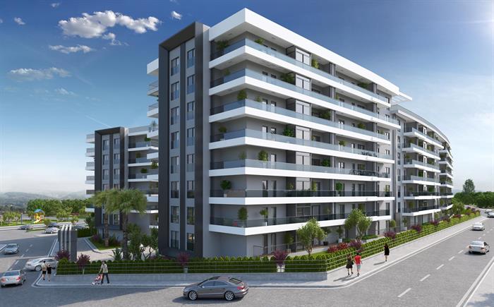 Project image 13