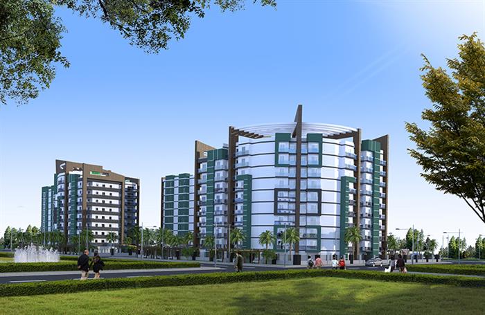 Project image 11