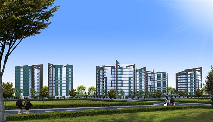 Project image 10