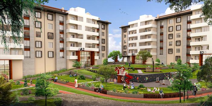 Project image 11