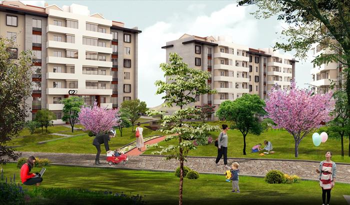 Project image 10