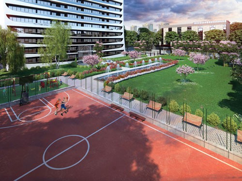 Project image 9