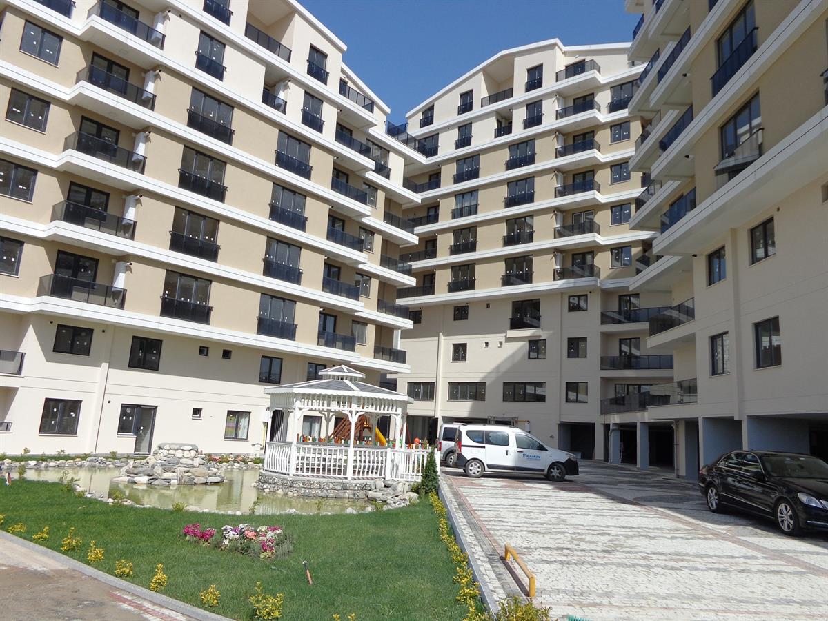 Project image 11