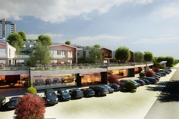 Project image 9