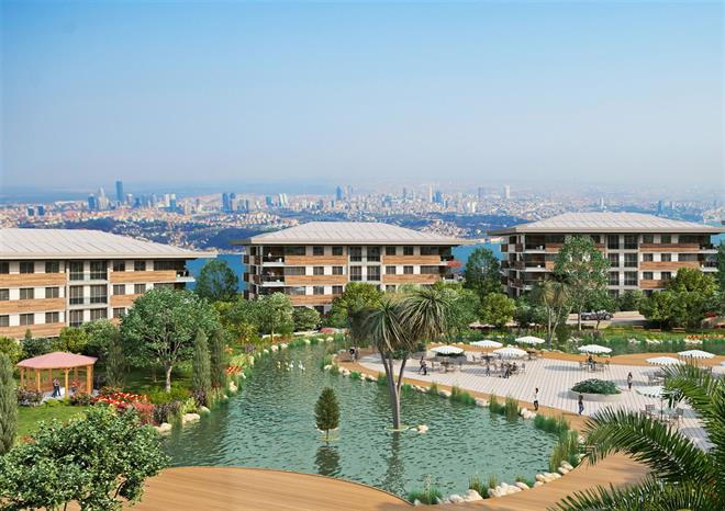 Project image 15