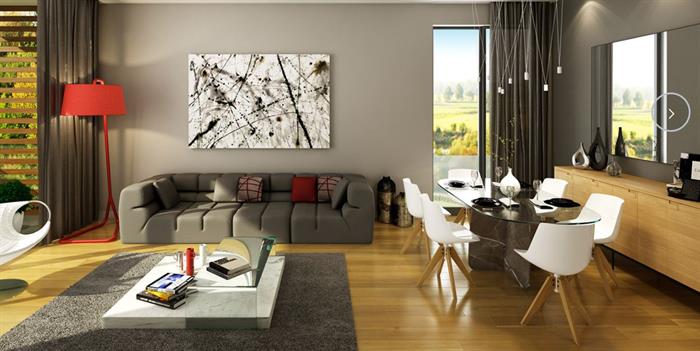Project image 10