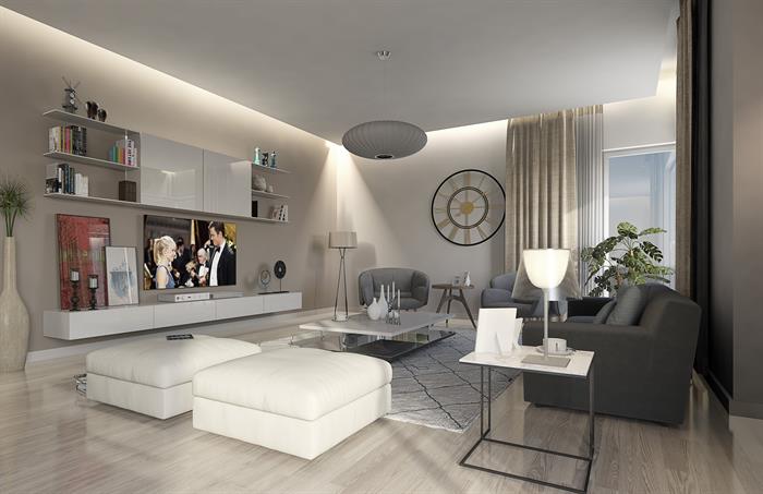 Project image 10