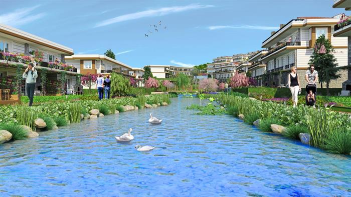 Project image 12