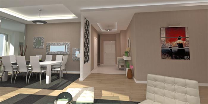 Project image 17