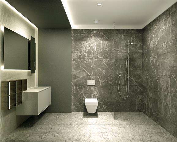 Project image 11