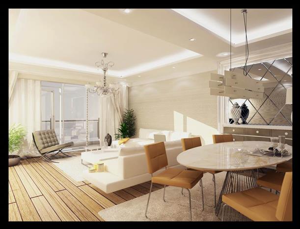 Project image 13