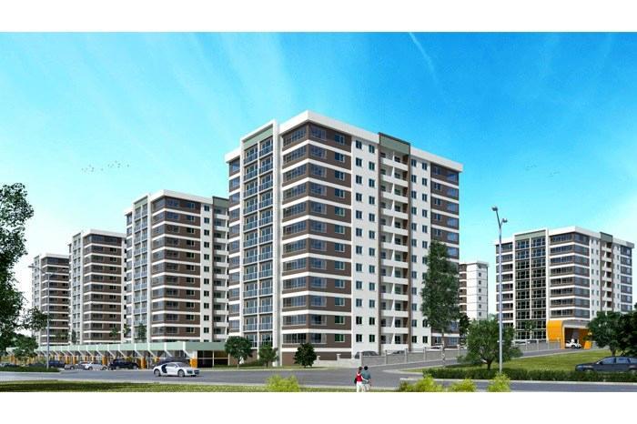 Project image 10