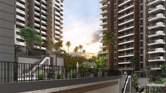 Project image 16