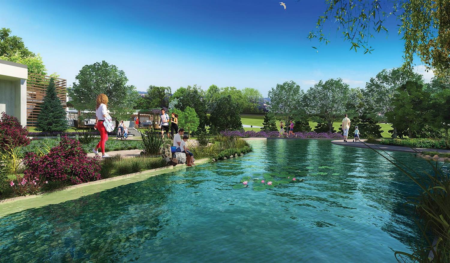 Project image 13