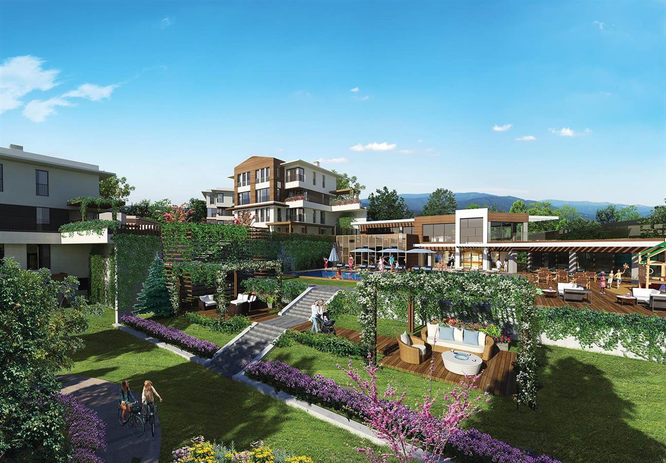 Project image 15