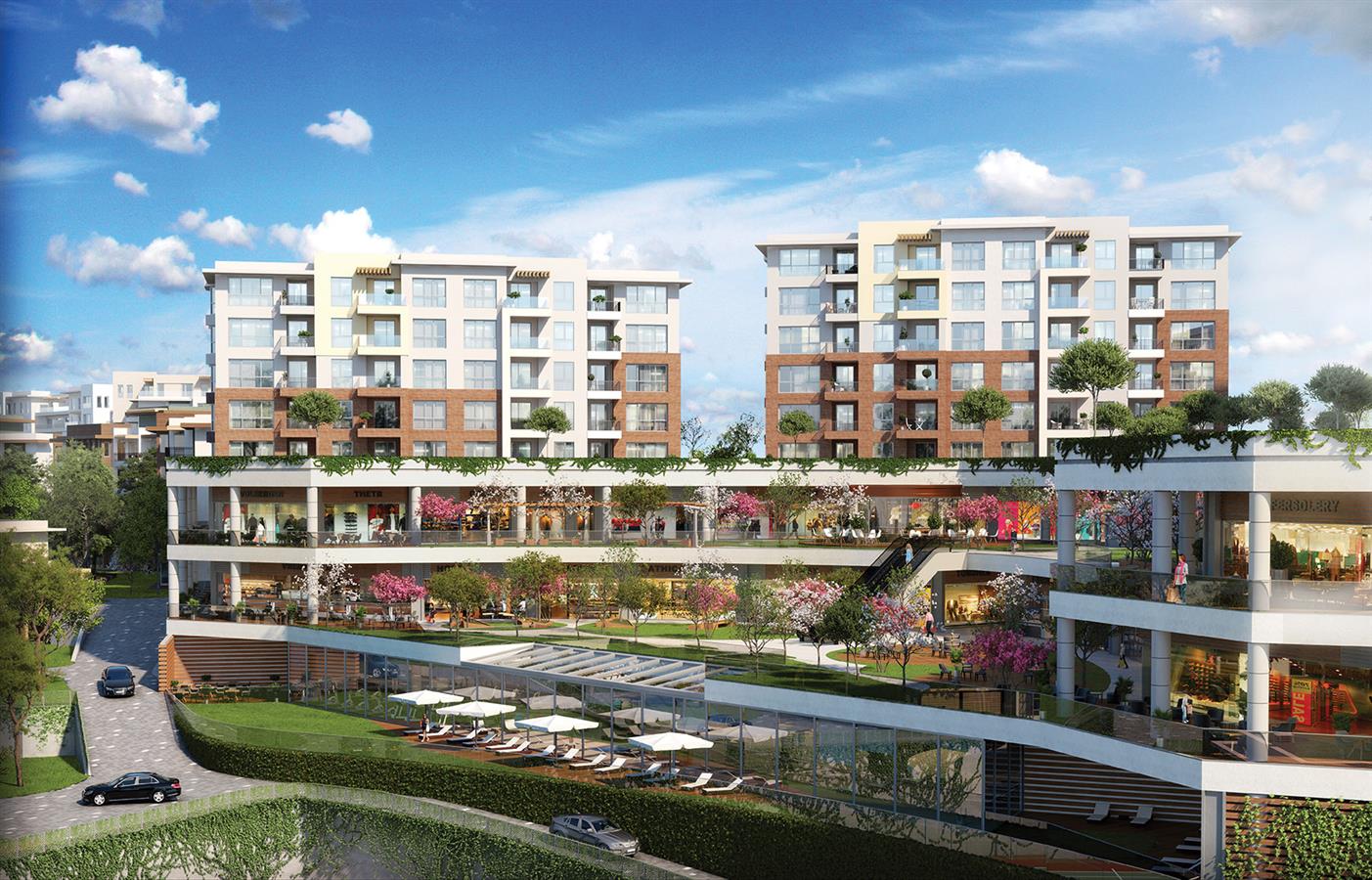 Project image 16