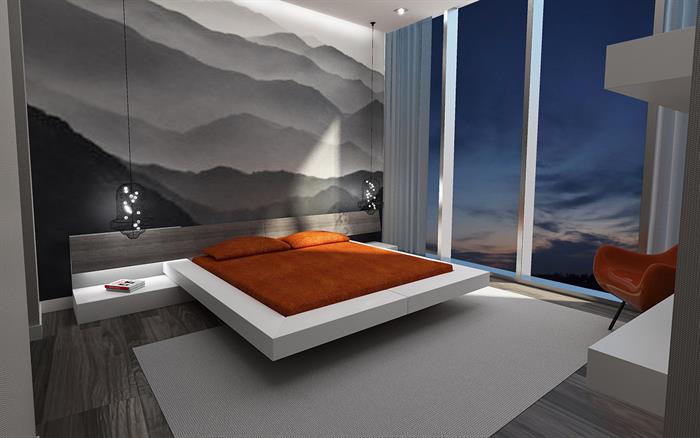 Project image 12