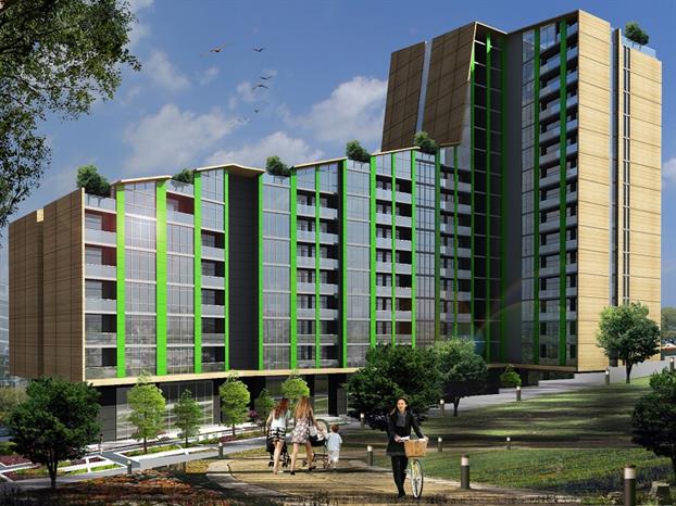 Project image 13