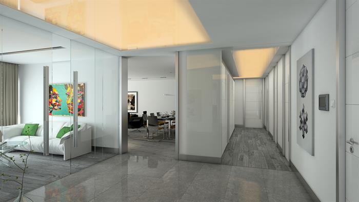 Project image 11