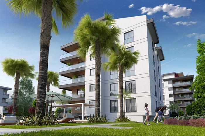 Project image 10