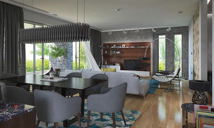 Project image 11