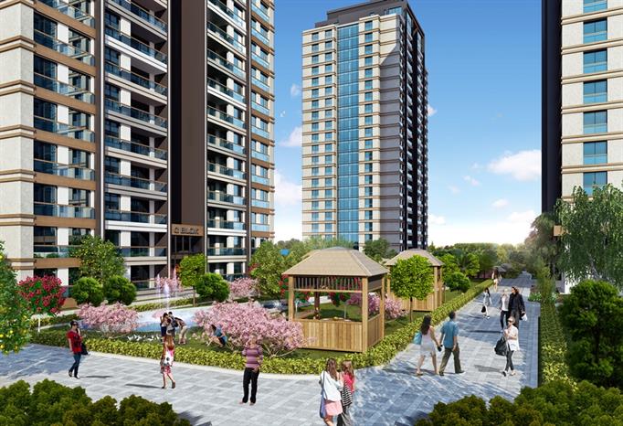 Project image 15