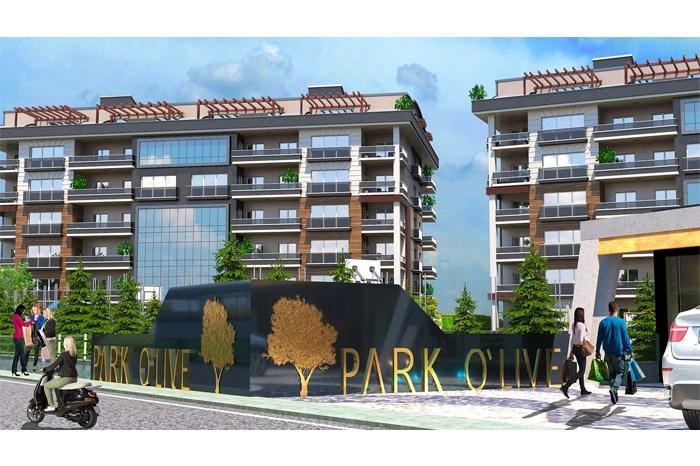 Project image 14