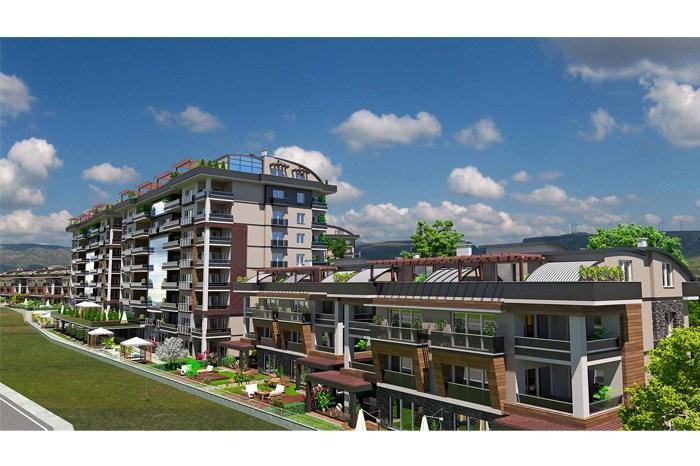 Project image 9