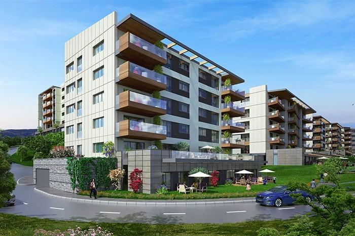 Project image 11