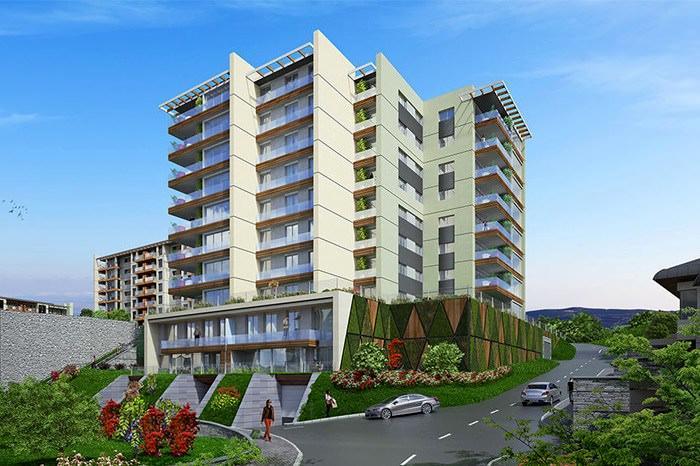 Project image 15