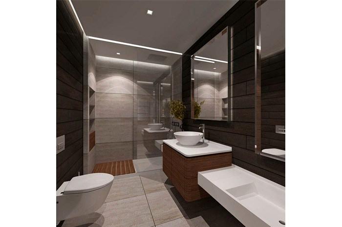 Project image 31
