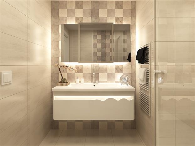 Project image 15