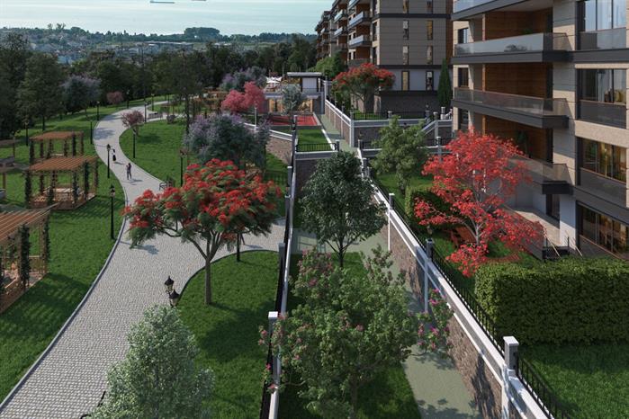 Project image 16