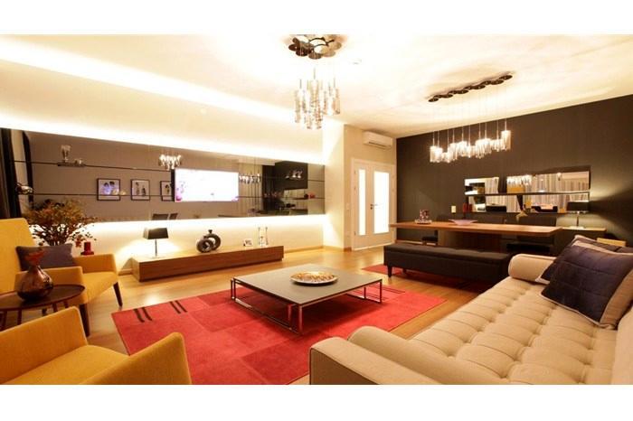 Project image 10