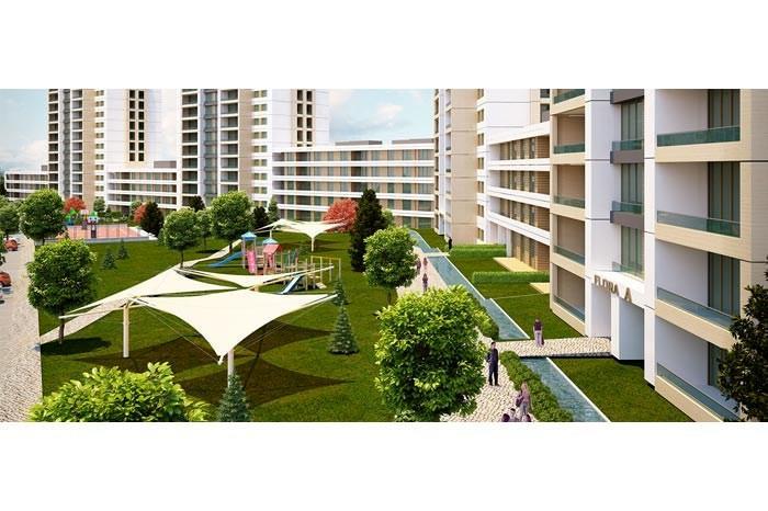 Project image 13