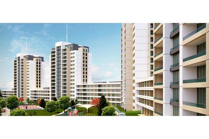 Project image 14