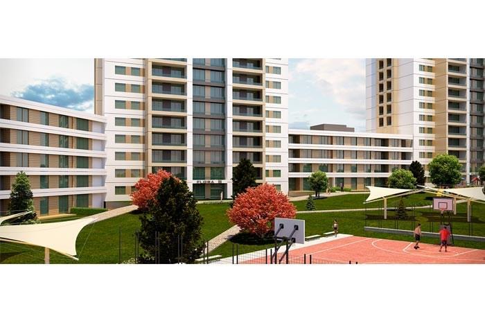 Project image 15