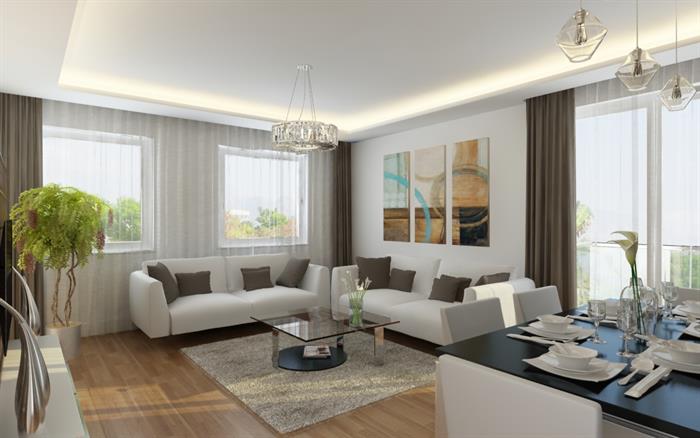 Project image 14