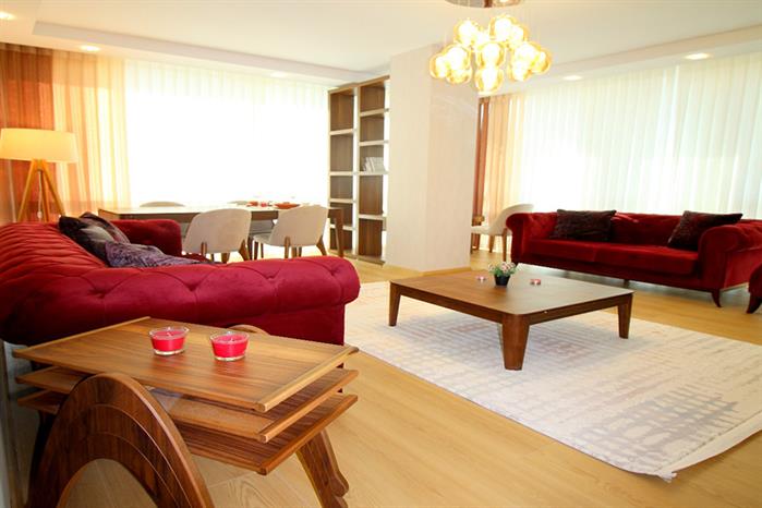 Project image 13