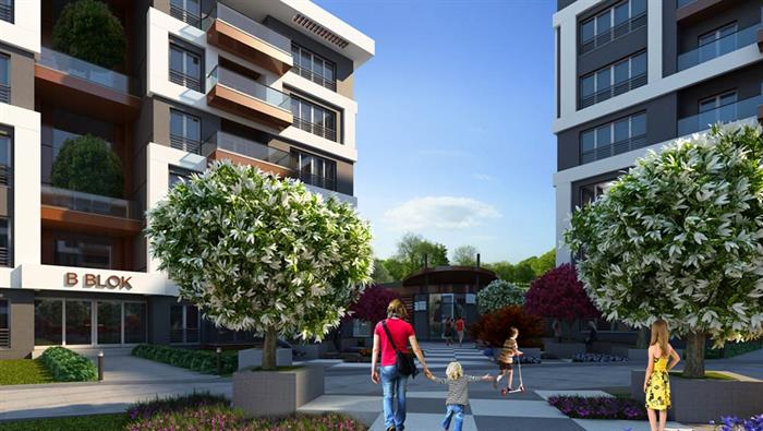 Project image 15