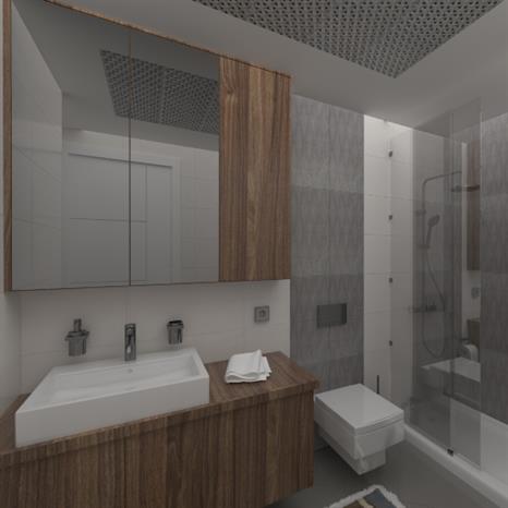 Project image 9