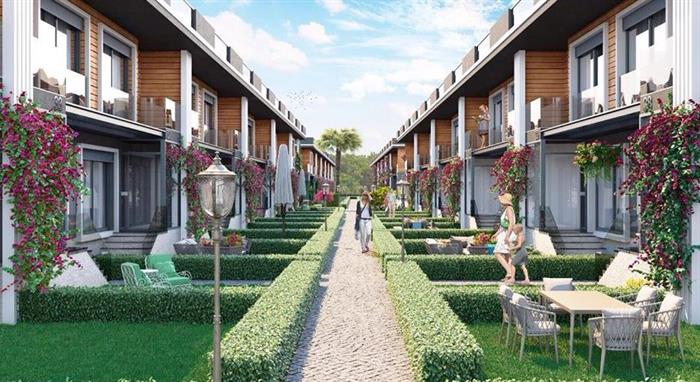 Project image 11