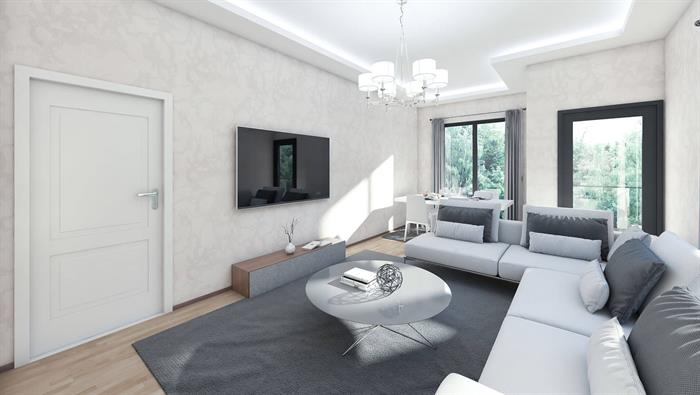 Project image 11