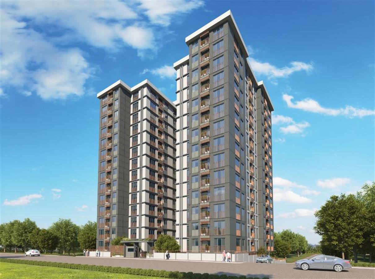 Project image 15