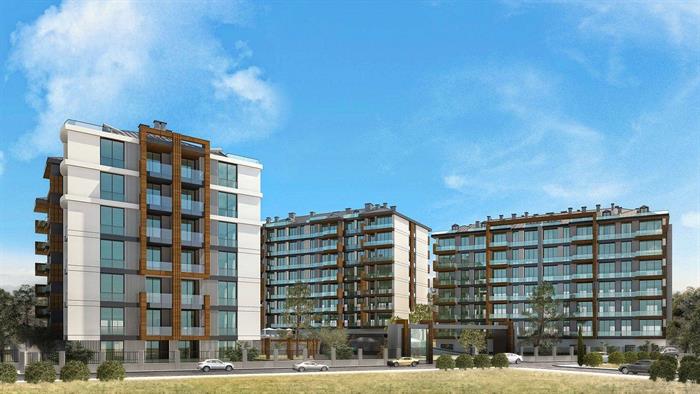 Project image 15