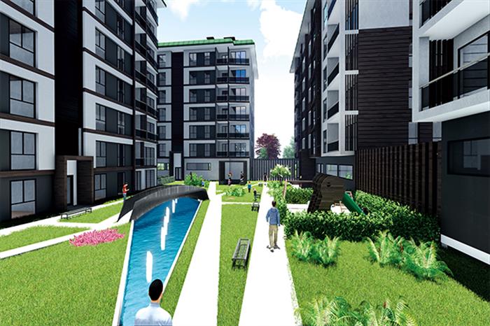 Project image 11