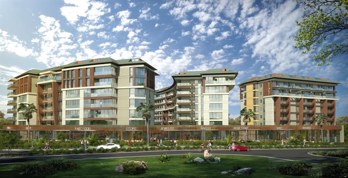 Project image 15